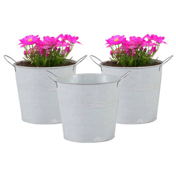 Mega Collections Emmer/plantenpot - 3x - zink - whitewash - D14 x H12 cm - Emmers