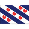 Talamex Friese vlag 50x75 - Veiligheid en vlaggen