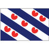 Talamex Friese vlag 100x150 - Veiligheid en vlaggen