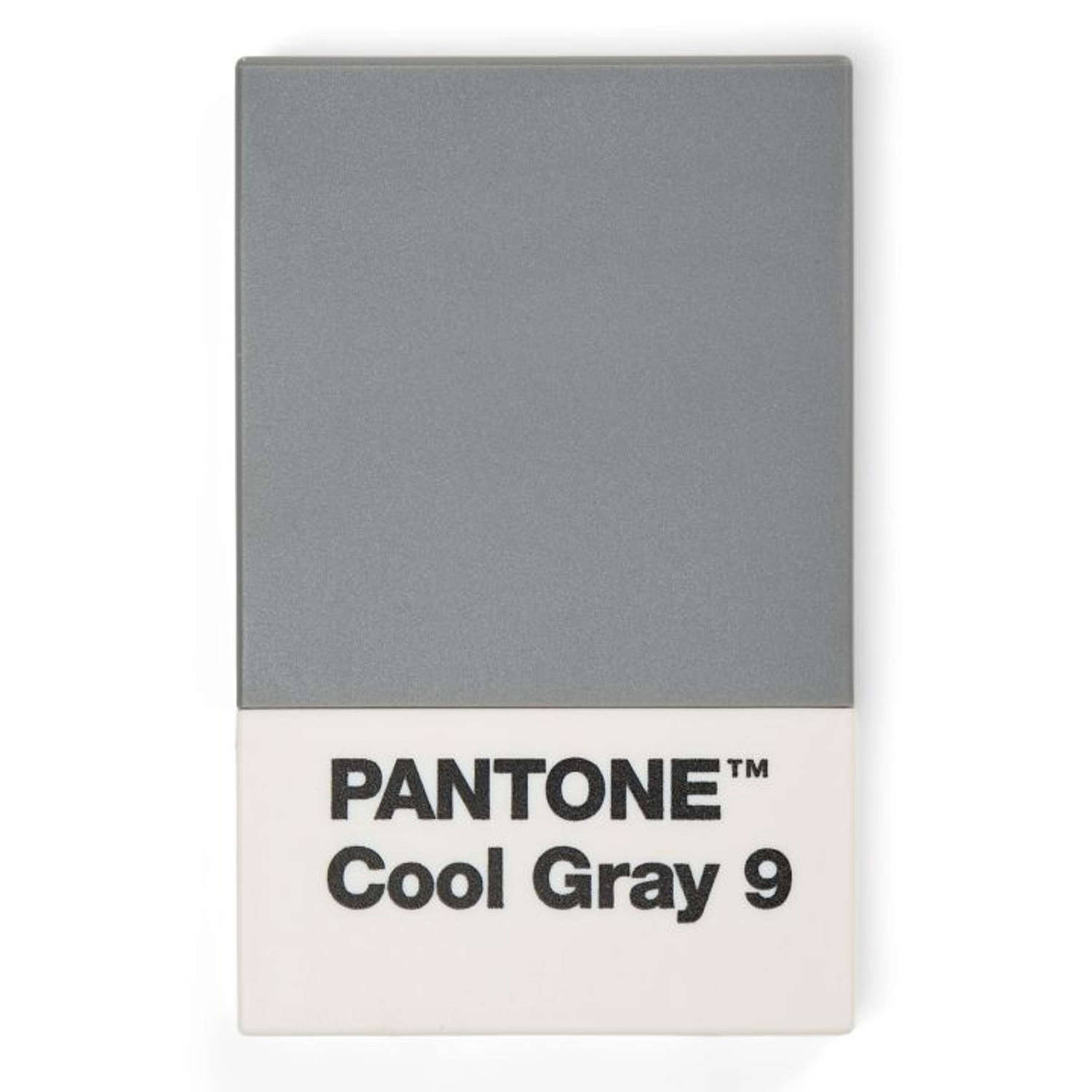 Pantone kaarthouder 9,5 cm grijs-wit
