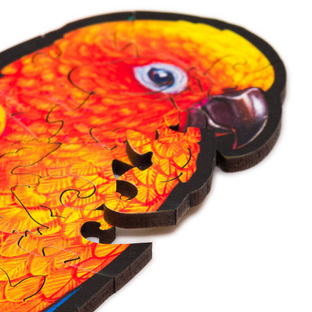 UNIDRAGON Houten Puzzel Dier - Speelse Papegaaien - 193 stukjes - Medium 44x25 cm