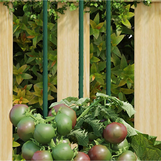 The Living Store Plantenstaken - Ø1.1 x 90 cm - Duurzaam staal - Ondersteuning voor klimplanten - Groen
