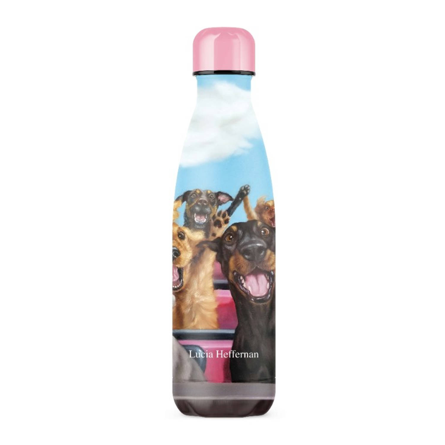 IZY Bottles x Lucia Heffernan 500ML | Thermosfles | Drinkfles | Waterfles | Schoolfles | Isoleerfles | Beker | Drinkbeker | Koud | Warm | Fles | Back to School | 500 ml