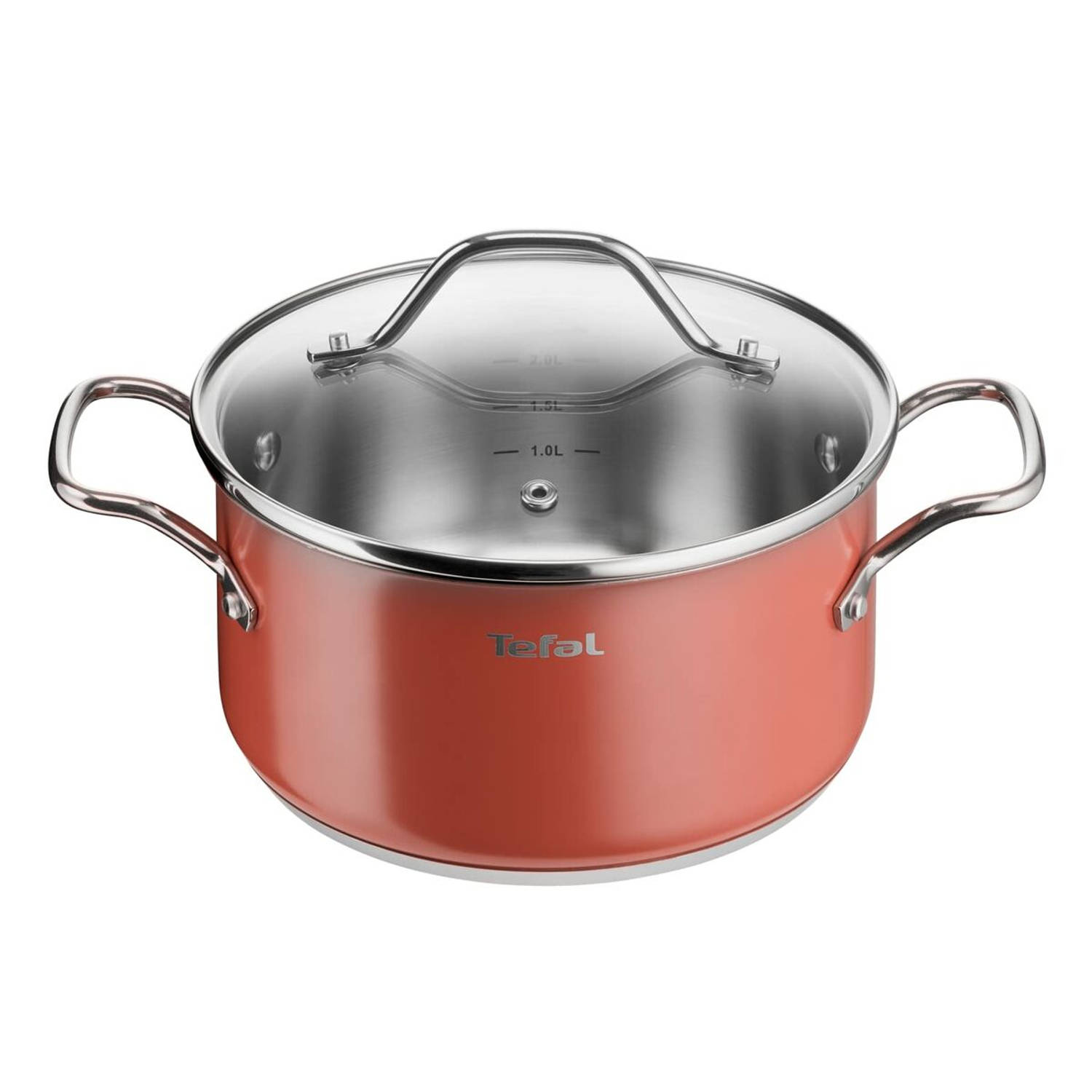 Kookpot Tefal Roestvrij staal Ø 20 cm