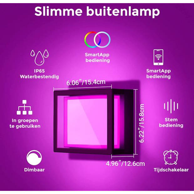 Nince 12W Wandlamp Smart App RGBCW - Wit & Gekleurd Licht - Buitenlamp - Muurlamp