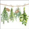 Ambiente Servetten Fresh Herbs 25cm