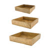 DKNC - Dienblad Dennis - Mango hout - 37x37x8 cm - Set van 3 - Natuurlijk