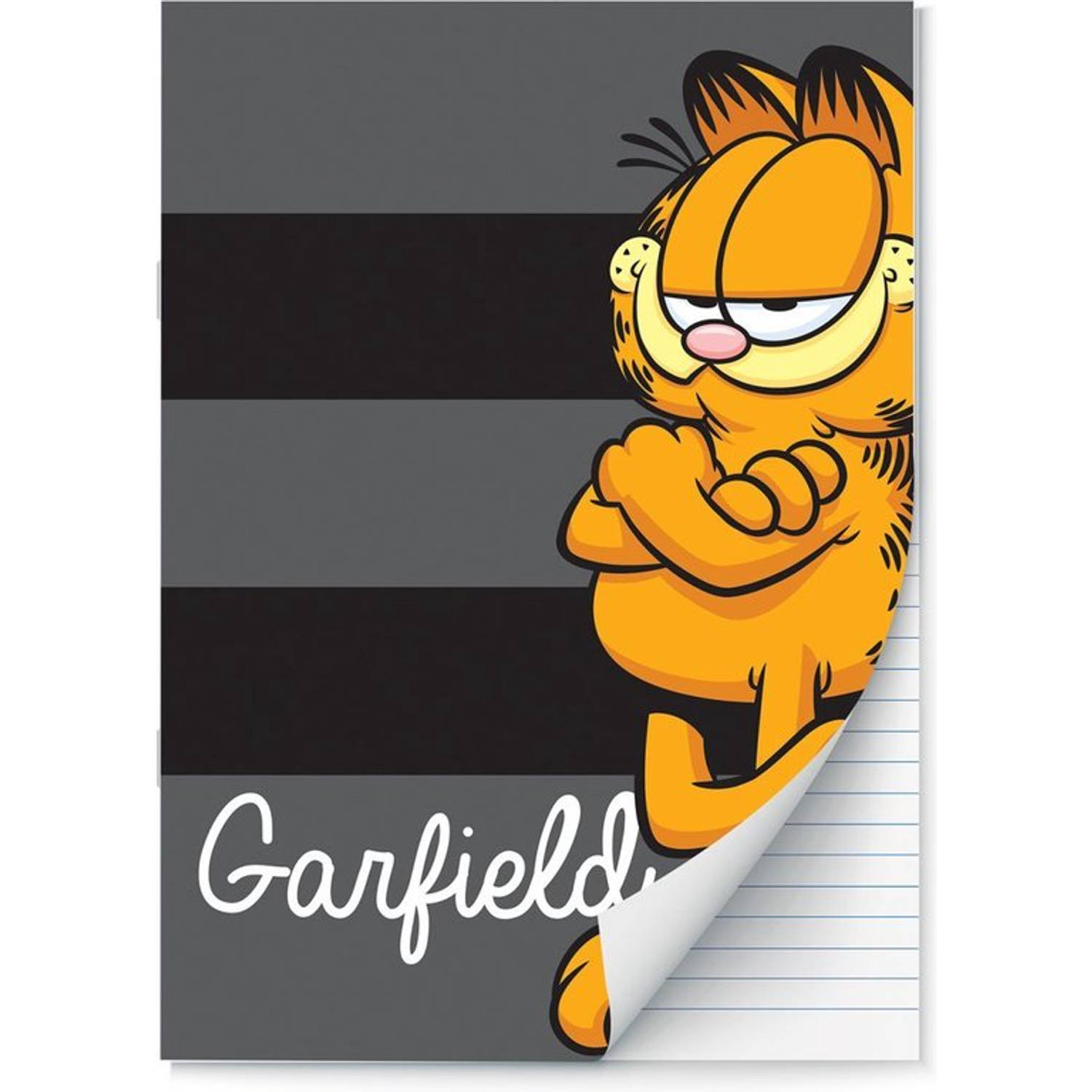 Garfield - schriften Lijn A4 SCHRIFTEN - Editie 2022/2023 - 4 stuks