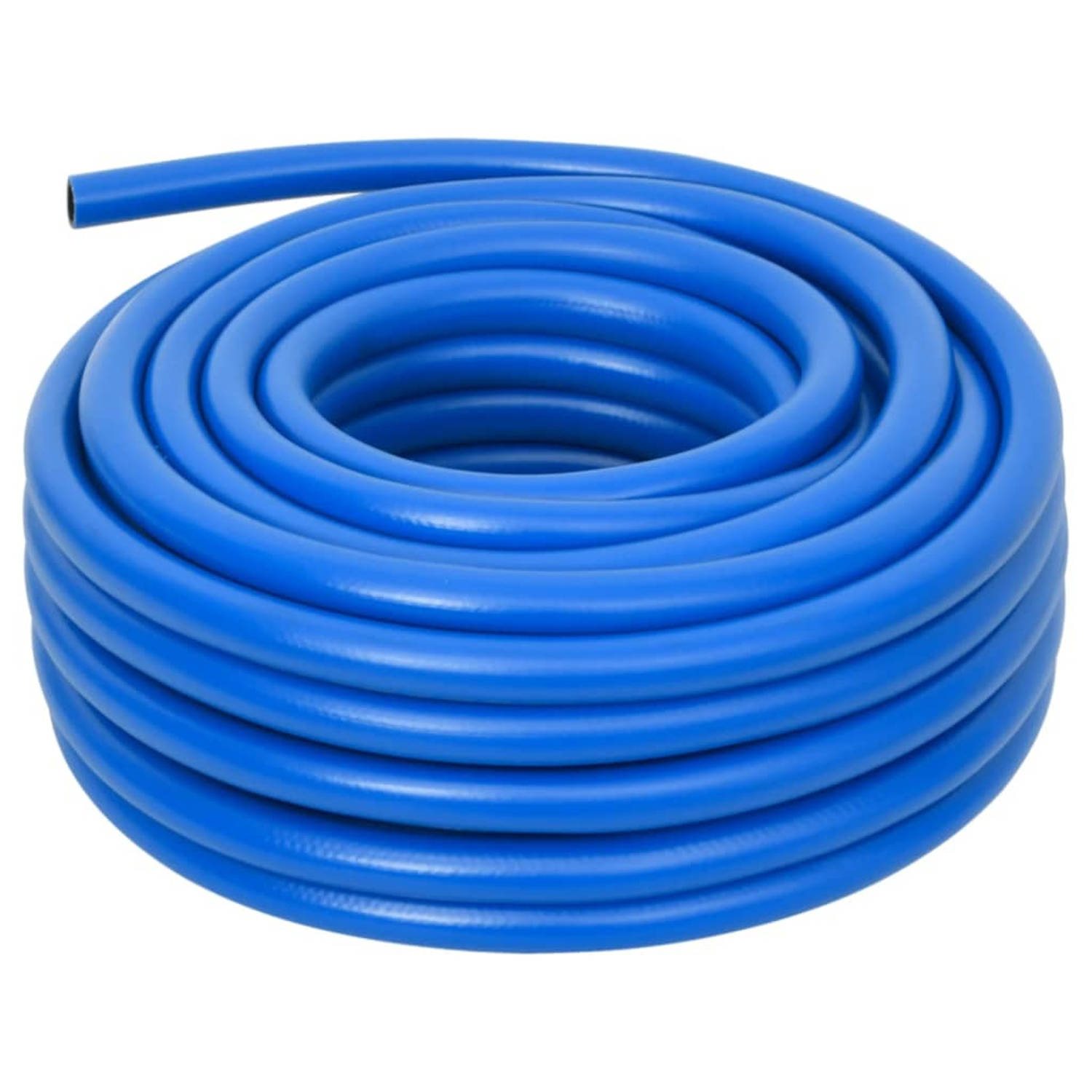 vidaXL Luchtslang 10 m PVC blauw