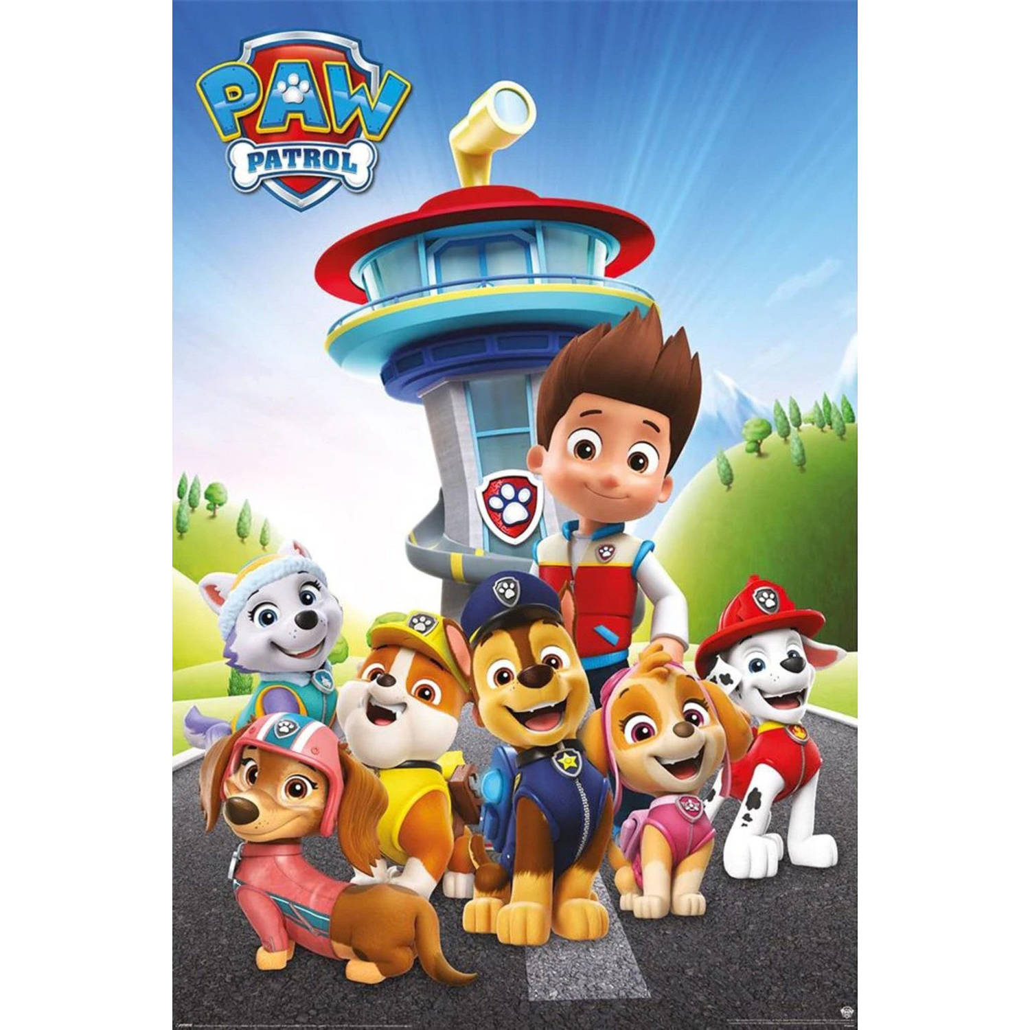 Poster Paw Patrol Ready for Action 61x91,5cm
