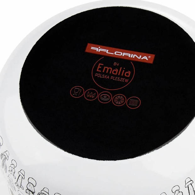 Emalia Cactus geëmailleerde pan 20 cm geschikt voor alle warmtebronnen 4.2L