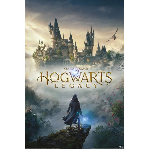 Poster Hogwarts Legacy Wizarding World Universe 61x91,5cm