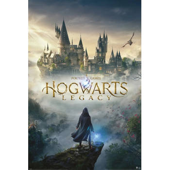 Poster Hogwarts Legacy Wizarding World Universe 61x91,5cm