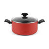 Kookpot FAGOR Rood Aluminium (Ø 24 cm)