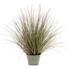 Emerald Kunstplant pennisetum groen 71 cm 418155