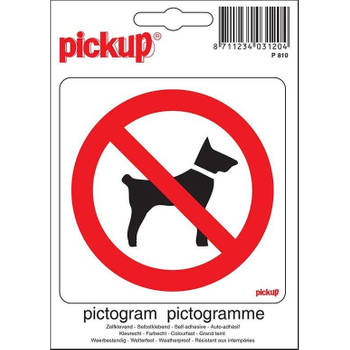 Pictogram 10 x 10 cm