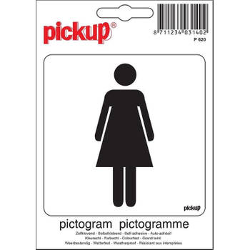 Pictogram 10 x 10 cm