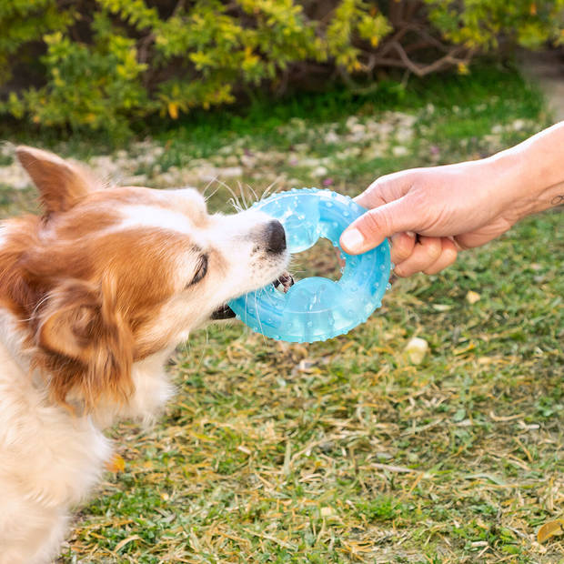 2 in 1 bevriesbaar kauwspeeltje voor huisdieren Glubiz InnovaGoods