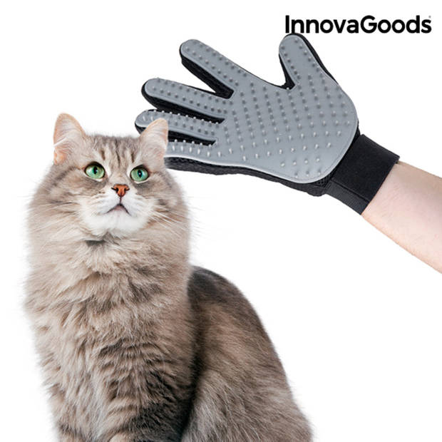 Handschoen om Huisdieren te Kammen en Masseren Relpet InnovaGoods