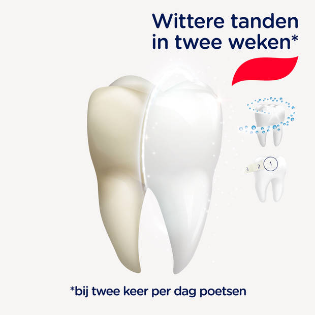 Signal - White System - Tandpasta - Wittere tanden in 2 weken - 75 ml - 12 stuks - Voordeelverpakking