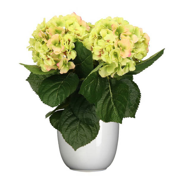 Hortensia kunstplant/kunstbloemen 36 cm - groen/roze - in pot wit - Kunstplanten
