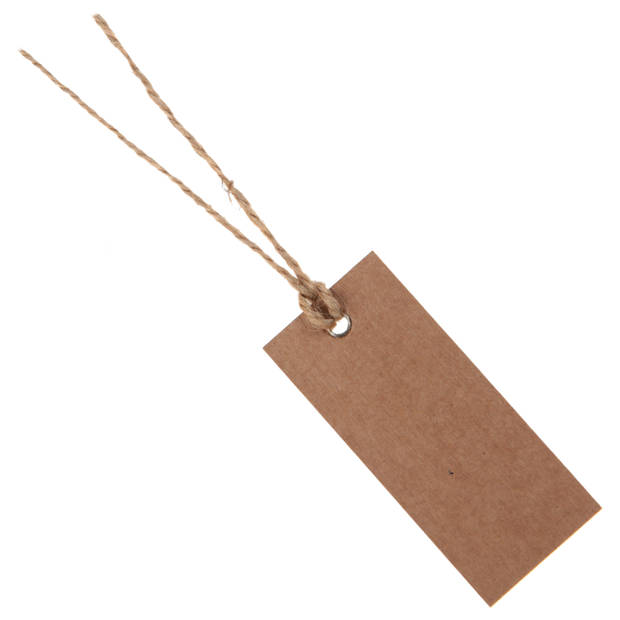 Santex cadeaulabels kraft met lintje - set 48x stuks - bruin - 3 x 7 cm - naam tags - Cadeauversiering