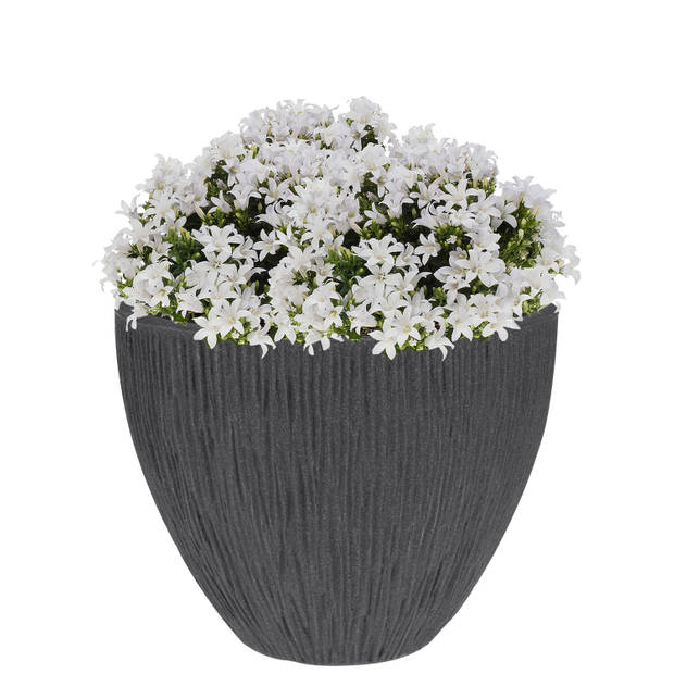 Pro Garden plantenpot/bloempot - 2x - Tuin - kunststof - antraciet grijs - D31 x H32 cm - Plantenpotten