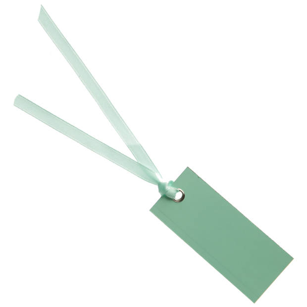 Santex cadeaulabels met lintje - set 48x stuks - mint groen - 3 x 7 cm - naam tags - Cadeauversiering