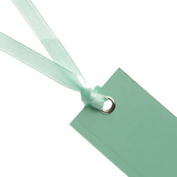 Santex cadeaulabels met lintje - set 12x stuks - mint groen - 3 x 7 cm - naam tags - Cadeauversiering