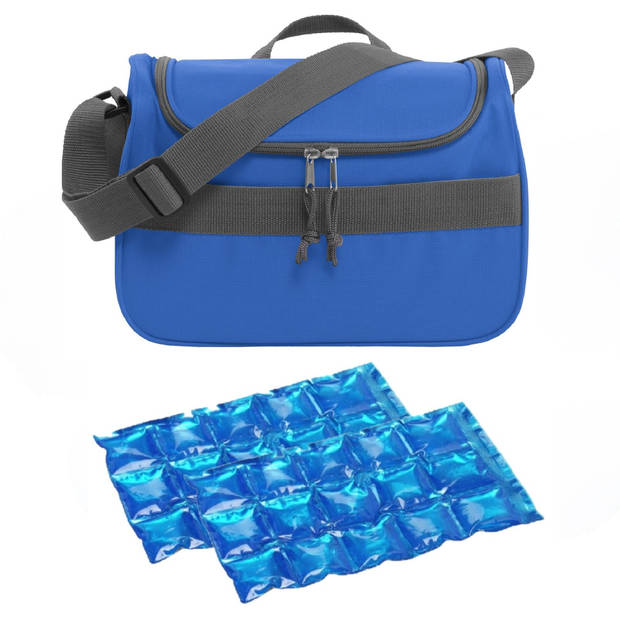 Kleine koeltas voor lunch blauw met 2 stuks flexibele koelelementen 10 liter - Koeltas