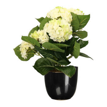Hortensia kunstplant/kunstbloemen 36 cm - wit/groen - in pot zwart glans - Kunstplanten