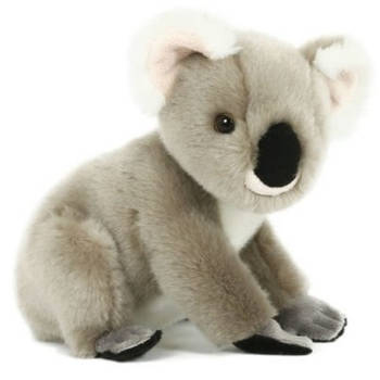 Pluche speelgoed koala knuffeldier 20 cm - Knuffeldier