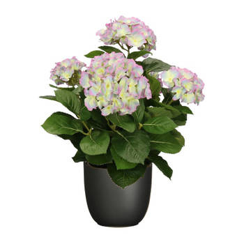 Hortensia kunstplant/kunstbloemen 45 cm - paars/groen - in pot zwart mat - Kunstplanten
