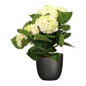 Hortensia kunstplant/kunstbloemen 36 cm - wit/groen - in pot zwart - Kunstplanten