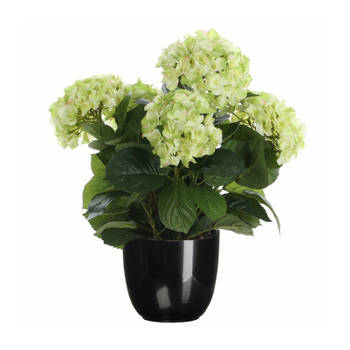 Hortensia kunstplant/kunstbloemen 45 cm - groen - in pot zwart - Kunstplanten