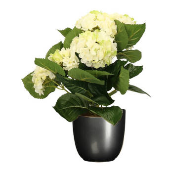 Hortensia kunstplant/kunstbloemen 36 cm - wit/groen - in pot titanium grijs glans - Kunstplanten