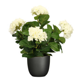 Hortensia kunstplant/kunstbloemen 45 cm - wit - in pot zwart mat - Kunstplanten