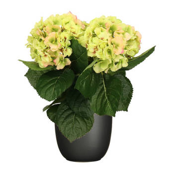 Hortensia kunstplant/kunstbloemen 36 cm - groen/roze - in pot zwart - Kunstplanten