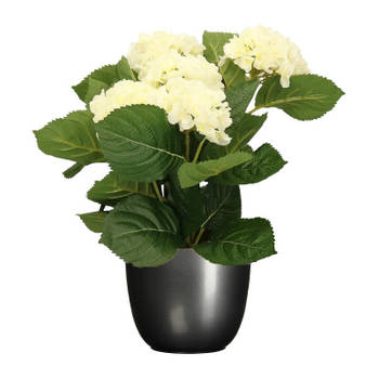 Hortensia kunstplant/kunstbloemen 36 cm - wit - in pot titanium grijs glans - Kunstplanten