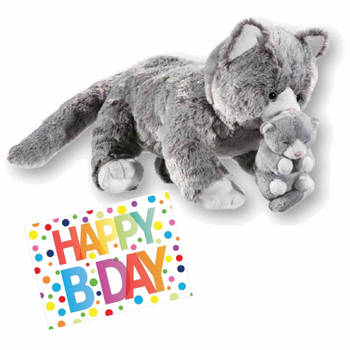 Pluche knuffel kat/poes grijs 32 cm met A5-size Happy Birthday wenskaart - Knuffel huisdieren