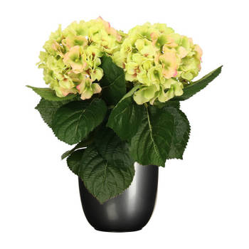 Hortensia kunstplant/kunstbloemen 36 cm - groen/roze - in pot titanium grijs - Kunstplanten