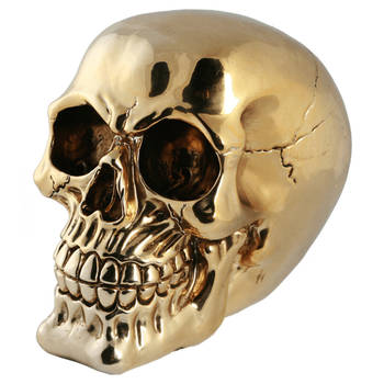 Out of the Blue Spaarpot van doodshoofd/Skull - polyresin - 15 cm - Gold Light - Volwassenen - Spaarpotten