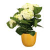 Hortensia kunstplant/kunstbloemen 36 cm - wit/groen - in pot okergeel glans - Kunstplanten