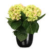 Hortensia kunstplant/kunstbloemen 36 cm - groen/roze - in pot zwart - Kunstplanten