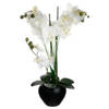 Atmosphera Orchidee bloemen kunstplant in zwarte bloempot - witte bloemen - H53 cm - Kunstplanten