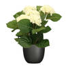 Hortensia kunstplant/kunstbloemen 36 cm - wit - in pot zwart mat - Kunstplanten