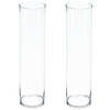 Atmosphera bloemenvaas - 2x - Cilinder model - transparant - glas - H50 x D15 cm - Vazen