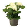 Hortensia kunstplant/kunstbloemen 36 cm - wit - in pot olijfgroen mat - Kunstplanten