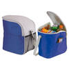 Kleine koeltas/Lunch tas model Glaciaal - 2x - 23 x 16 x 26 cm - 1 vaks - blauw/grijs - 9 Liter - Koeltas