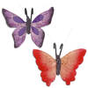 Tuindecoratie bloempothanger vlinder - set 2x - paars/rood - kunststeen - 13 x 10 cm - Tuinbeelden